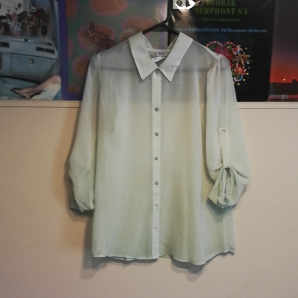 Sheer Seafoam Green Blouss